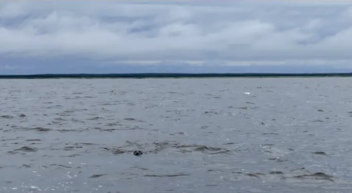 Hudson Bay, Churchill Manitoba